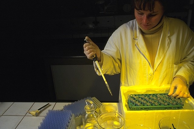 Recherche en biotechnologie.
